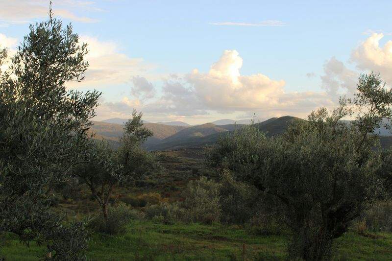 AgroCampos del Levante, S.L.