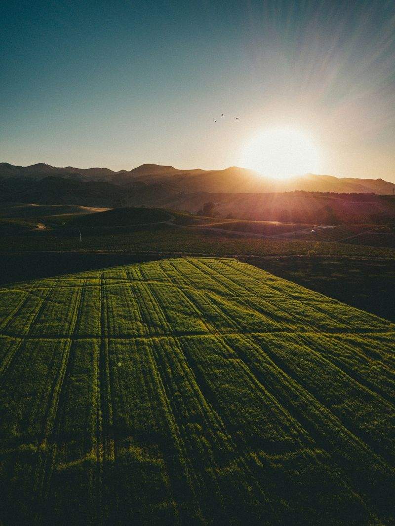 Mejora del control operativo en campañas agrícolas intensivas