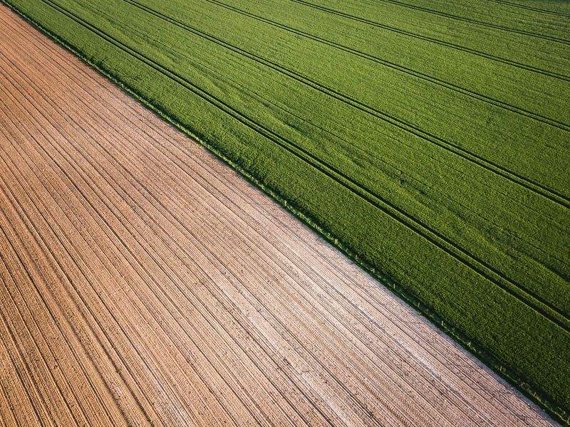 AgroCampos del Levante, S.L. 14