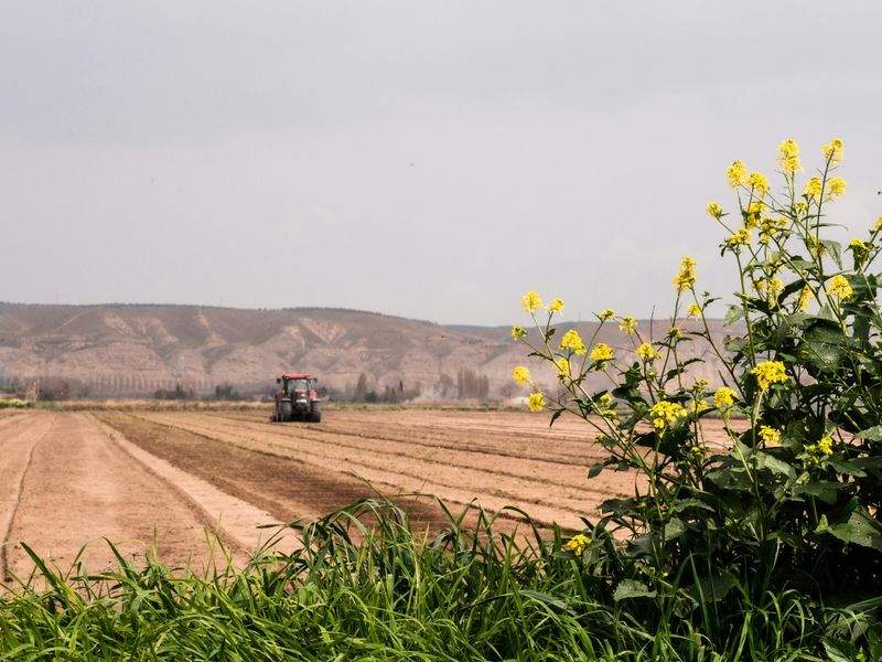 AgroCampos del Levante, S.L. 5