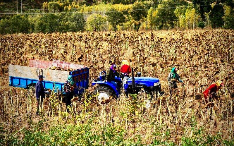 Gestión integral de fincas agrícolas
