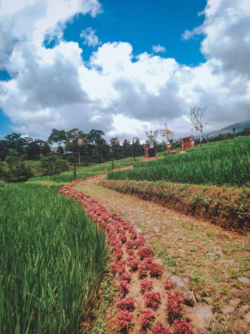 Comercialización y distribución de productos agrícolas